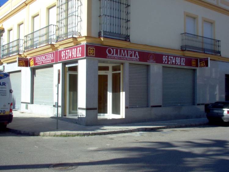 Rótulo luminoso. Olimpia Inmobiliaria El Viso del Alcor Sevilla