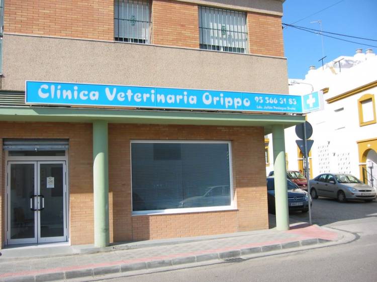 Rótulo luminoso. Veterinaria Orippo Dos Hermanas Sevilla