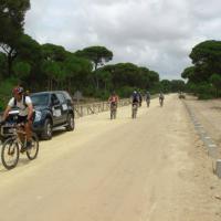 Paso por Doñana mitad del grupo