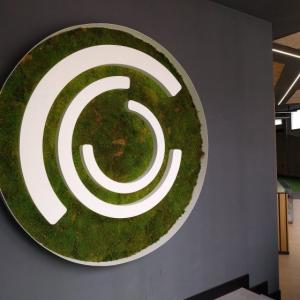 Decoraci&oacute;n mediante textos corp&oacute;reos y vinilos para In Muv Sevilla.