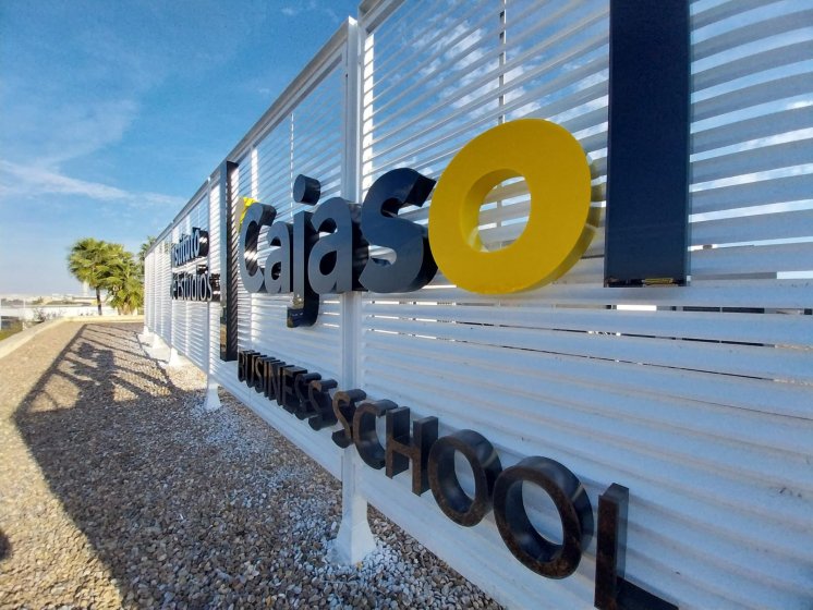 R&oacute;tulos en letras corp&oacute;reas iluminadas con led, Instituto Cajasol. Trabajo para el Grupo Recio en Sevilla.