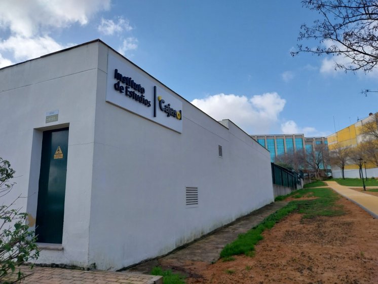 R&oacute;tulos en letras corp&oacute;reas iluminadas con led, Instituto Cajasol. Trabajo para el Grupo Recio en Sevilla.