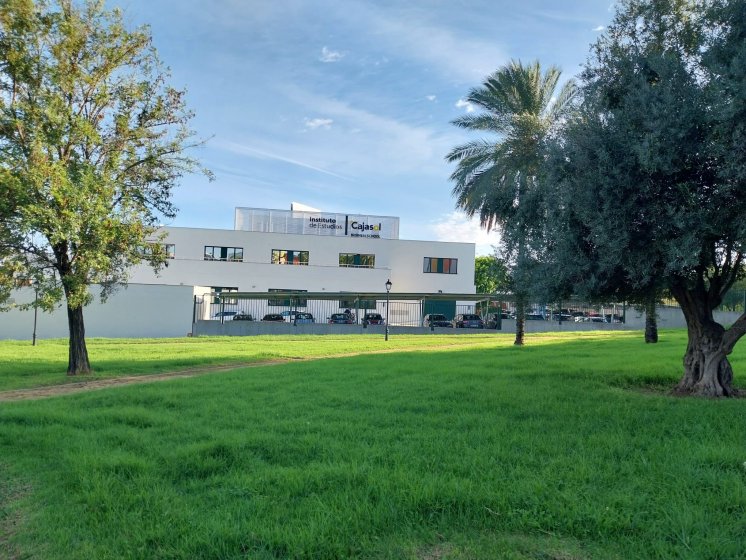 R&oacute;tulos en letras corp&oacute;reas iluminadas con led, Instituto Cajasol. Trabajo para el Grupo Recio en Sevilla.
