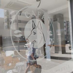 Rotulaci&oacute;n de cristal en vinilo &aacute;cido para Caf&eacute; Gala Sevilla.