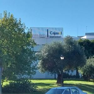 R&oacute;tulos en letras corp&oacute;reas iluminadas con led, Instituto Cajasol. Trabajo para el Grupo Recio en Sevilla.