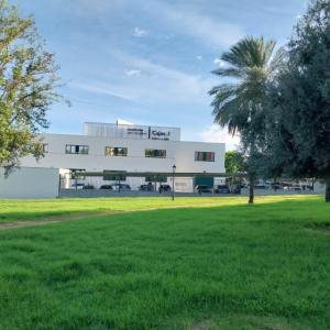 R&oacute;tulos en letras corp&oacute;reas iluminadas con led, Instituto Cajasol. Trabajo para el Grupo Recio en Sevilla.