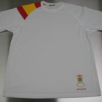 Camiseta técnica Futer ( Cuartel General de la Fuerza Terrestre ) Sevilla