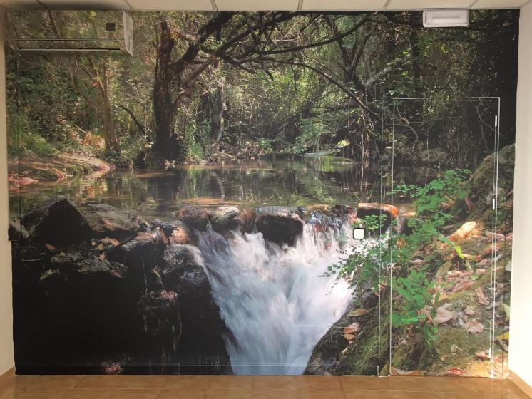 Fotomural de río majaceite del Bosque a Benamahoma Cádiz. Rotulación en vinilo especial de pared para despacho en Dos Hermanas Sevilla