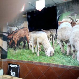 Foto mural en vinilo especial de pared. Cafetería y cervecería Hispania, Alcalá de Guadaira Sevilla.