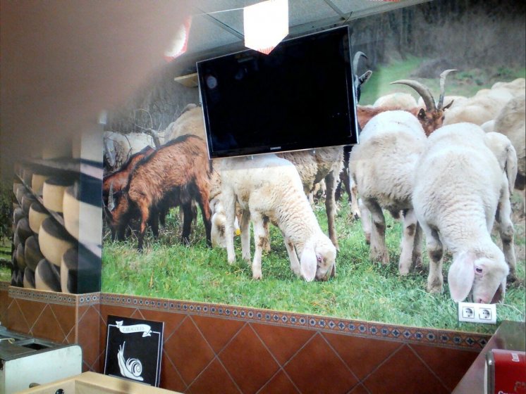 Foto mural en vinilo especial de pared. Cafetería y cervecería Hispania, Alcalá de Guadaira Sevilla.