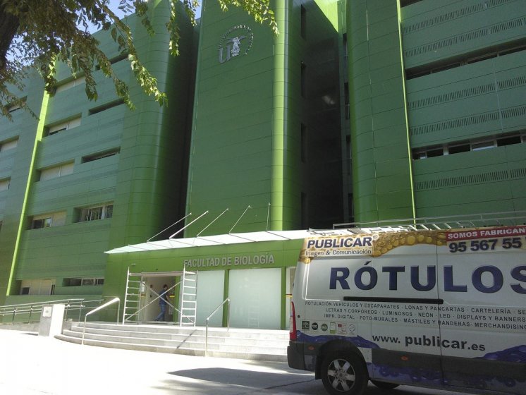 Letras recortadas en PVC lacado, para la Facultad de Biología de la Universidad de Sevilla.