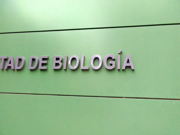 Letras recortadas en PVC lacado, para la Facultad de Biología de la Universidad de Sevilla.