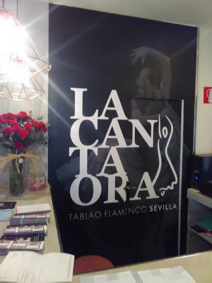 Rotulación de foto murales en vinilos especiales de pared. La cantaora en Sevilla.