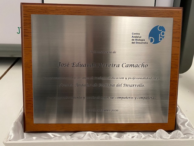 Placa conmemorativa con estuche, personalizada grabación fresada en bajo relieve para el Cabd en Sevilla.