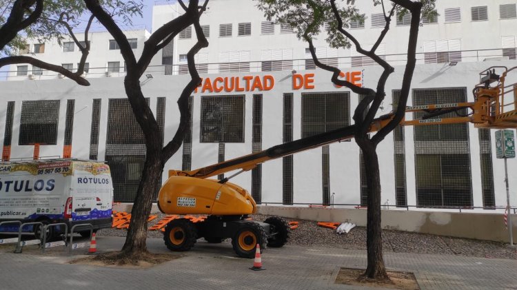 Rótulos letras corpóreas, en PVC de 30 mm recortados y lacados para la Facultad de Ciencias Económicas y Empresariales de la Universidad de Sevilla.