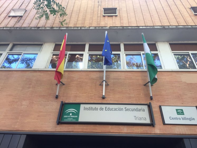 Mástil y banderas para Instituto Triana en Sevilla.