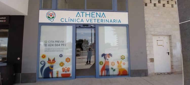 Rotulación de cristal en vinilo ácido impreso para Clínica Athena en entrenúcleos Dos Hermanas Sevilla.