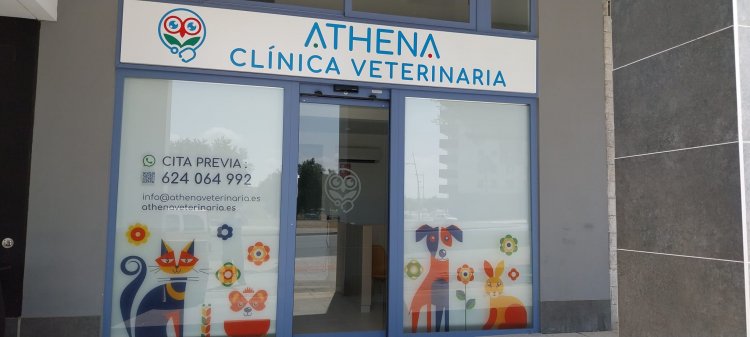 Rotulación de cristal en vinilo ácido impreso para Clínica Athena en entrenúcleos Dos Hermanas Sevilla.