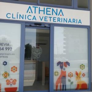 Rotulación de cristal en vinilo ácido impreso para Clínica Athena en entrenúcleos Dos Hermanas Sevilla.